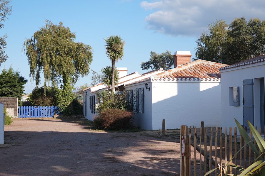 Parc des Mimosas
